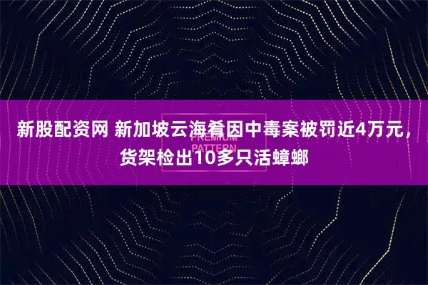 新股配资网 新加坡云海肴因中毒案被罚近4万元，货架检出10多只活蟑螂
