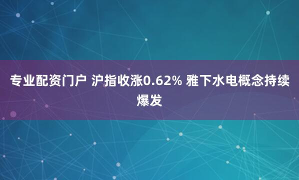 专业配资门户 沪指收涨0.62% 雅下水电概念持续爆发